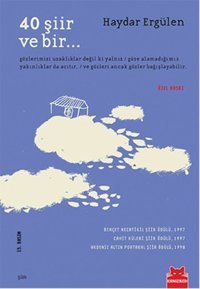 40 Şiir ve Bir Haydar Ergülen Kırmızı Kedi