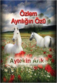 Özlem Ayrılığın Özü Aytekin Arık İnsancıl Yayınları