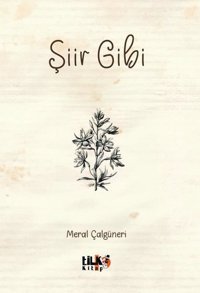 Şiir Gibi Meral Çalgüneri Tilki Kitap