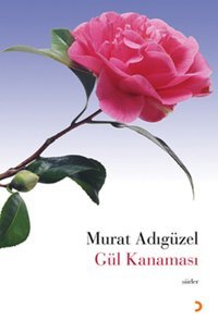 Gül Kanaması Murat Adıgüzel Cinius