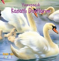 Yumuşacık Kanatlı Dostlarım Kaknüs Yayınları