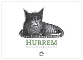 Hurrem Barış Pirhasan İletişim Yayınları