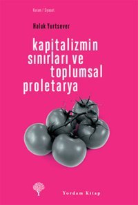 Kapitalizmin Sınırları ve Toplumsal Proletarya Haluk Yurtsever Yordam Kitap