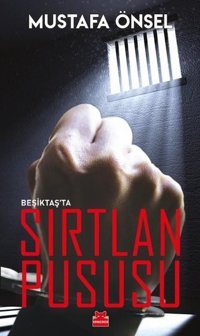 Beşiktaş'ta Sırtlan Pususu Mustafa Önsel Kırmızı Kedi