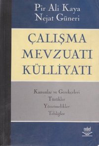 Çalışma Mevzuatı Külliyatı Pir Ali Kaya, Nejat Güneri Nobel Akademik Yayıncılık