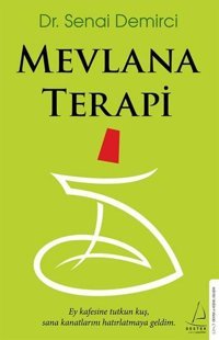 Mevlana Terapi Senai Demirci Destek Yayınları