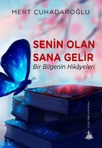 Senin Olan Sana Gelir Mert Çuhadaroğlu Yitik Ülke Yayınları