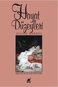 Hayat Düzeyleri Julian Barnes Ayrıntı Yayınları