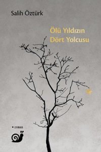 Ölü Yıldızın Dört Yolcusu Salih Öztürk Sakin Kitap