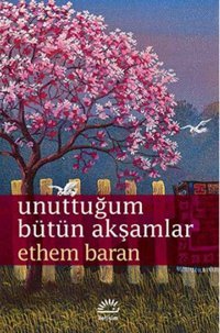 Unuttuğum Bütün Akşamlar Ethem Baran İletişim Yayınları