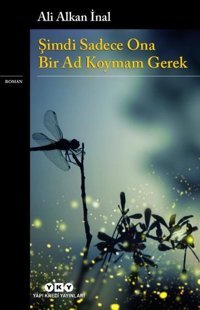 Şimdi Sadece Ona Bir Ad Koymam Gerek Ali Alkan İnal Yapı Kredi Yayınları