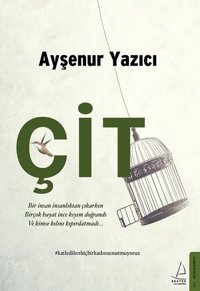 Çit Ayşenur Yazıcı Destek Yayınları