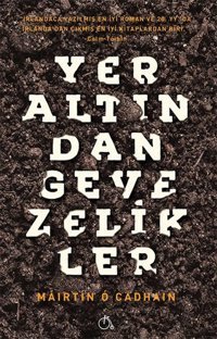 Yeraltından Gevezelikler Mairtin O Cadhain Aylak Adam
