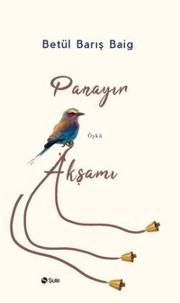 Panayır Akşamı Betül Barış Baig Şule Yayınları