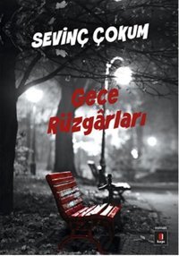 Gece Rüzgarları Sevinç Çokum Kapı Yayınları