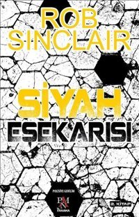 Siyah Eşekarısı Rob Sinclair Panama Yayıncılık