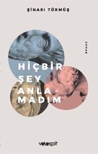 Hiçbir Şey Anlamadım Şinasi Türmüş Velespit Yayınları