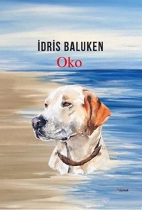 Oko İdris Baluken Dipnot