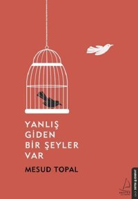 Yanlış Giden Bir Şeyler Var Mesud Topal Destek Yayınları