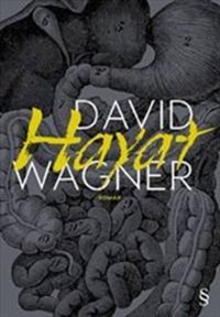 Hayat David Wagner Everest Yayınları