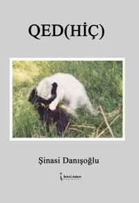 Qed - Hiç Şinasi Danışoğlu İkinci Adam Yayınları