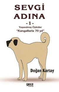 Yaşanılmış Öyküler-Sevgi Adına 1 Doğan Kartay Gece Kitaplığı