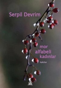 Mor Alfabeli Kadınlar Serpil Devrim Artshop Yayıncılık
