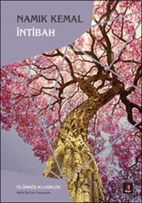 İntibah Namık Kemal Kapı Yayınları
