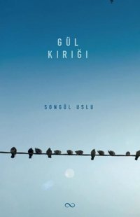 Gül Kırığı Songül Uslu Bengisu Yayınları