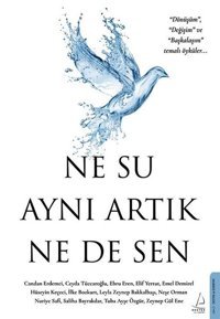 Ne Su Aynı Artık Ne de Sen Kolektif Destek Yayınları