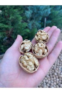 Sultan Ceviz Bahçeleri Organik Tane Kabuklu Ceviz 3 kg