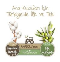 Baby Turco Doğadan 2 Numara Bantlı Bebek Bezi 48'li