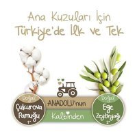 Baby Turco Doğadan 1 Numara Bantlı Bebek Bezi 50'li