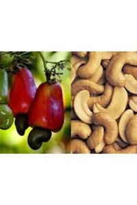 Enval Kavrulmuş Kaju 1 kg