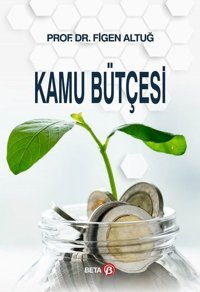 Kamu Bütçesi Figen Altuğ Ezgi Kitabevi Yayınları