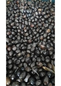 Tad Zeytin Siyah Zeytin 5 kg