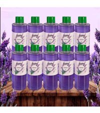 Solena Lavanta Kolonya 6x100 ml