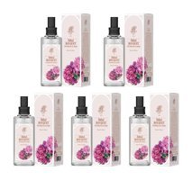 Rebul Zambak Sprey Cam Şişe Kolonya 5x100 ml
