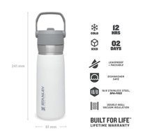 Stanley Go Iceflow Paslanmaz Çelik 0.65 lt Outdoor Termos Çok Renkli