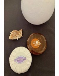 Ganosoap Gano Organik Keçi Sütlü Sabun 200 gr