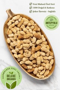 Antepyolu Organik Şekersiz Çekirdeksiz Dut 75 gr