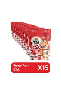 Pol's Şekersiz Çekirdeksiz Çilek 15x15 gr