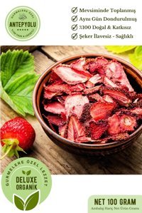 Antepyolu Organik Şekersiz Çekirdeksiz Çilek 100 gr