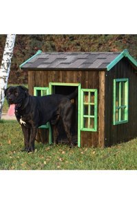 Oxford Yalıtımlı Dış Mekan Ahşap Köpek Kulubesi