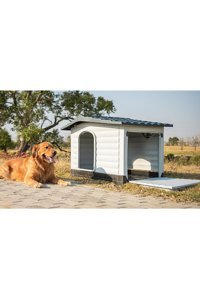 Foxy Dış Mekan Plastik Köpek Kulubesi