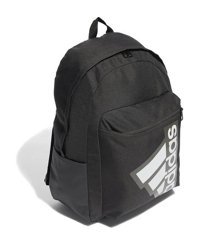 Can Deri Adidas Ip9887 Clsc Bp Bts Füme 001 Std Kadın Sırt Çantası