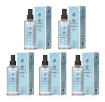 Rebul Ice Cam Şişe Sprey Kolonya 5x100 ml