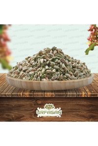 Urfasan Boz Çiğ Şanlıurfa Yöresi Tane Antep Fıstığı 10 kg