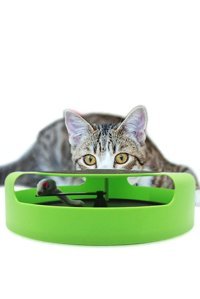 Bundera Catch Tırmalama Yavru-Yetişkin Fare Kedi Oyuncağı