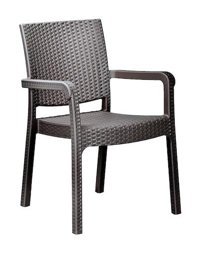 Holiday ID6018 Kollu Rattan 6 Adet Bahçe Sandalyesi